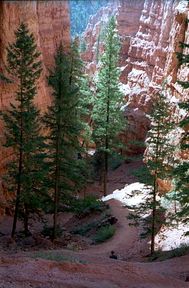 Bryce Canyon