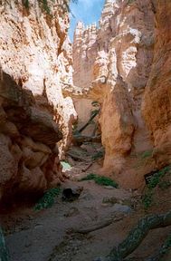 Bryce Canyon