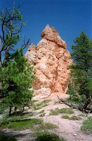 Bryce Canyon