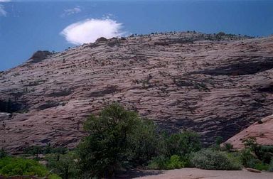 Zion National