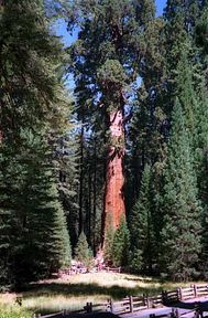 Sequoia National