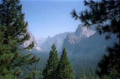 Yosemite Park