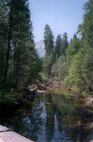 Yosemite Park