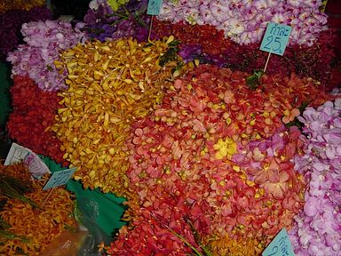 Bangkok - Flower Market