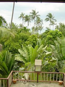 Koh Samui - Central Samui Village