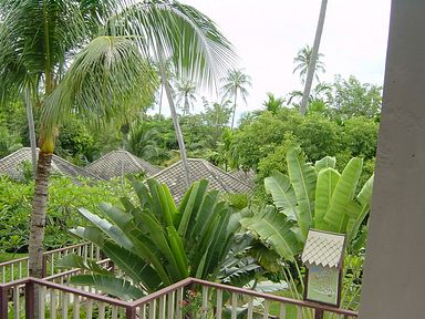 Koh Samui - Central Samui Village