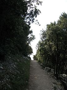 Gardasee - Wanderweg Busatte-Tempesta