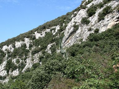 Gardasee - Wanderweg Busatte-Tempesta