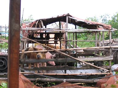 Tonle Sap