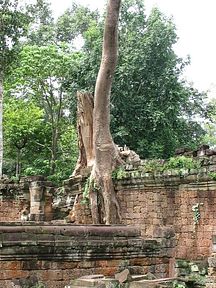 Angkor Wat