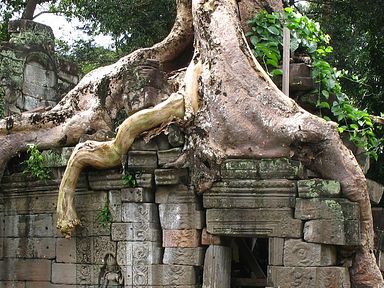 Angkor Wat