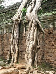 Angkor Wat