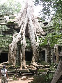 Angkor Wat