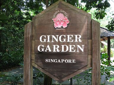 Singapore - Ginger Garden