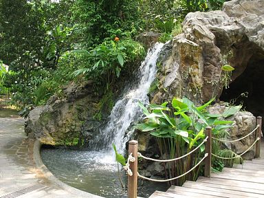 Singapore - Ginger Garden