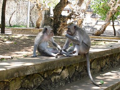 Bali - Tempel Uluwatu