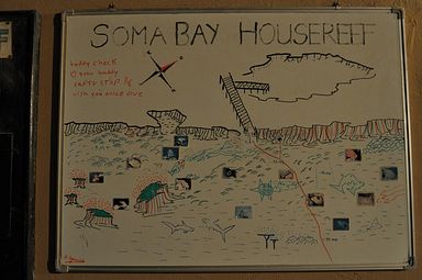 Soma Bay - House Reef