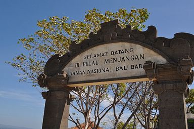 Bali - Tauchspot Menjangan Island