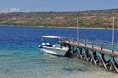 Bali - Tauchspot Menjangan Island