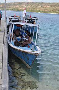 Bali - Tauchspot Menjangan Island