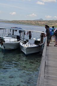 Bali - Tauchspot Menjangan Island