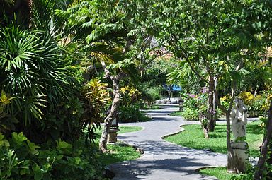 Bali - Pemuteran - Hotel Adi Assri Beach Cottages