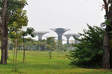 Singapore - Gardens by the Bay