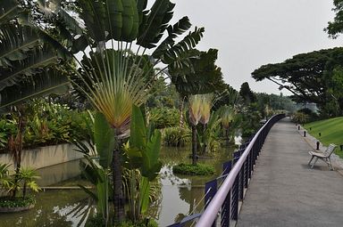 Singapore - Gardens by the Bay