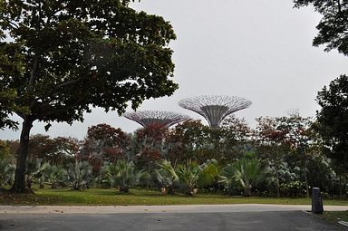 Singapore - Gardens by the Bay