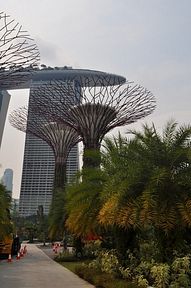 Singapore - Gardens by the Bay