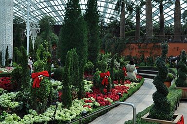 Singapore - Gardens by the Bay