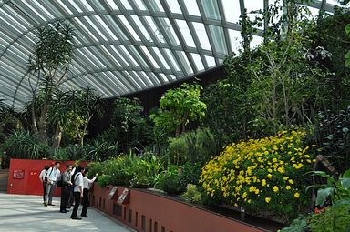 Singapore - Gardens by the Bay