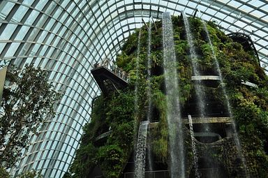 Singapore - Gardens by the Bay