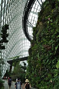 Singapore - Gardens by the Bay