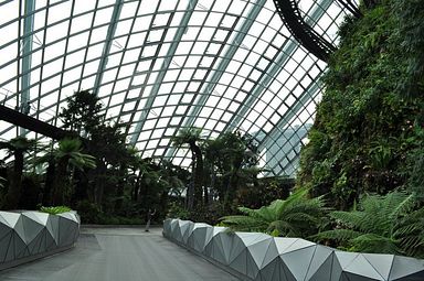 Singapore - Gardens by the Bay