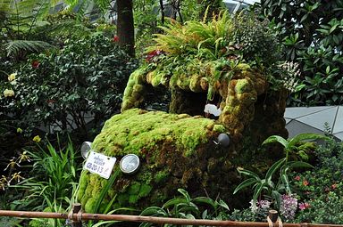 Singapore - Gardens by the Bay