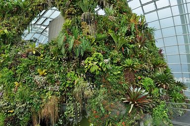 Singapore - Gardens by the Bay