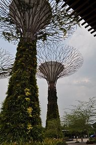 Singapore - Gardens by the Bay