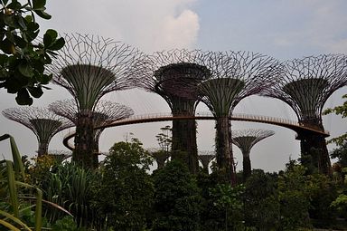 Singapore - Gardens by the Bay