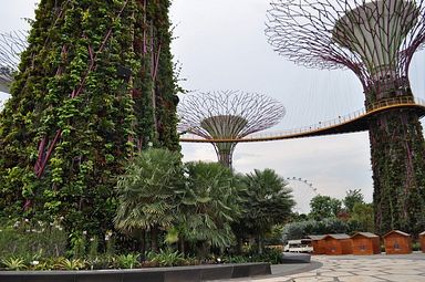 Singapore - Gardens by the Bay