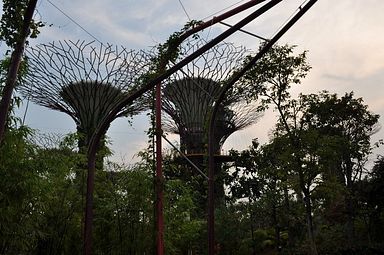 Singapore - Gardens by the Bay