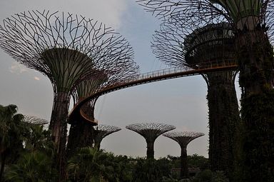 Singapore - Gardens by the Bay