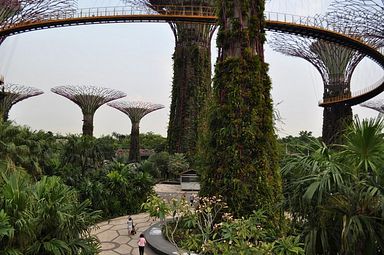 Singapore - Gardens by the Bay