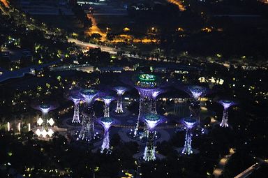 Singapore - Gardens by the Bay