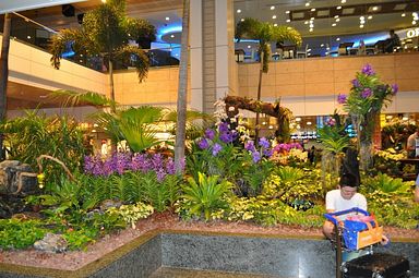 Singapore - Changi Airport