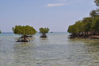 Bali - Menjangan Island