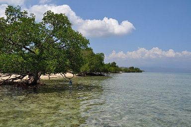 Bali - Menjangan Island