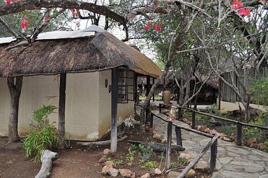 Kwa Mbili Game Lodge - Thornybush Reservat (Greater Kruger)