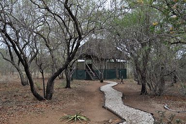 Kwa Mbili Game Lodge - Thornybush Reservat (Greater Kruger)