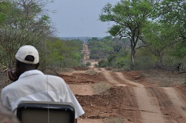 Thornybush Reservat (Greater Kruger Nationalpark)